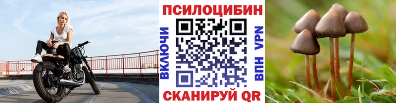 Галлюциногенные грибы прущие грибы  Купить  Новоалександровск 