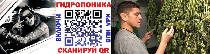 Каннабис LSD WEED  Купить закладки  Новоалександровск 